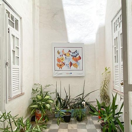 Hostel Canto Zen Salvador da Bahia Dış mekan fotoğraf
